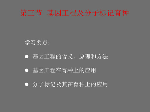 基因工程及分子标记育种