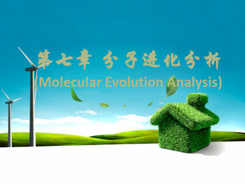 分子进化分析讲解