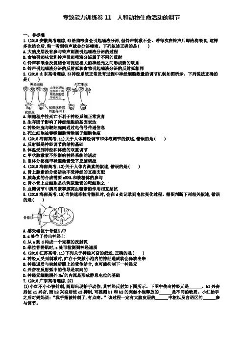 高三生物二轮复习：专题训练11《人和动物生命活动的调节》及答案