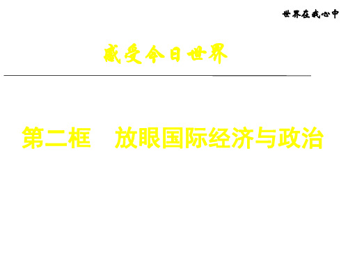 九年级政治放眼国际经济与政治