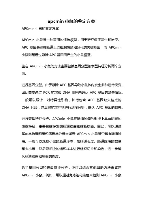 apcmin小鼠的鉴定方案