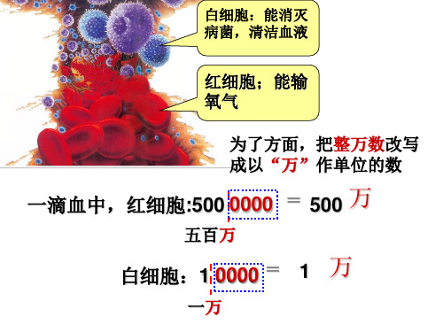 新冀教版四年级数学上册5.2整万数的改写公开课课件