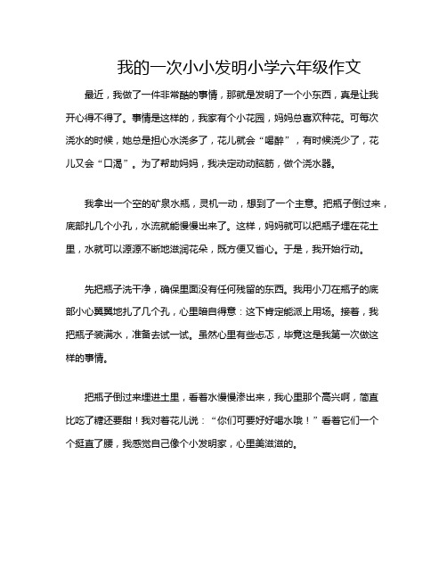 我的一次小小发明小学六年级作文