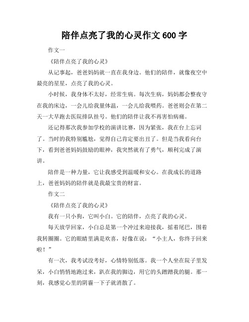 陪伴点亮了我的心灵作文600字