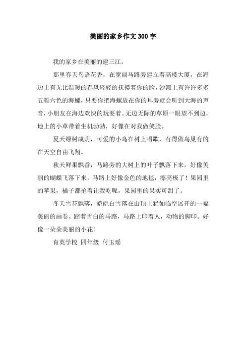 美丽的家乡作文300字_2