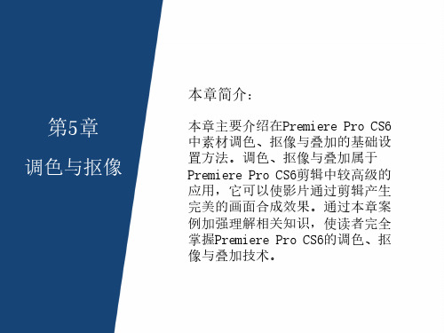 PremiereProCS6视频编辑应用教程-调色与抠像