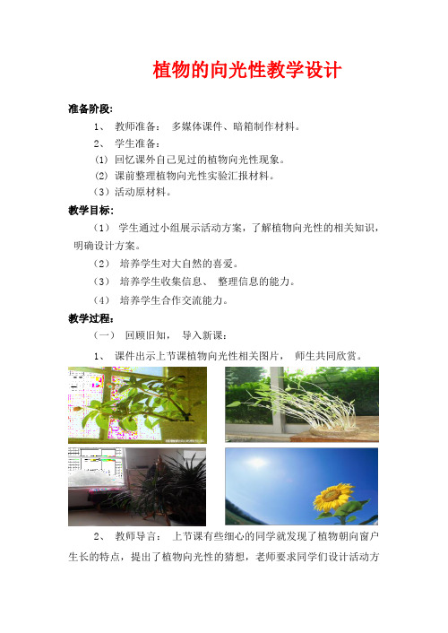 综合实践活动《植物的向光性》优质课教案公开课教学设计