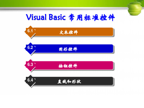 Visual Basic 常用标准控件