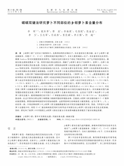 碳碳双键法研究萝卜不同部位的β胡萝卜素含量分布