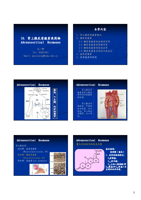 30肾上腺皮质激素类药物