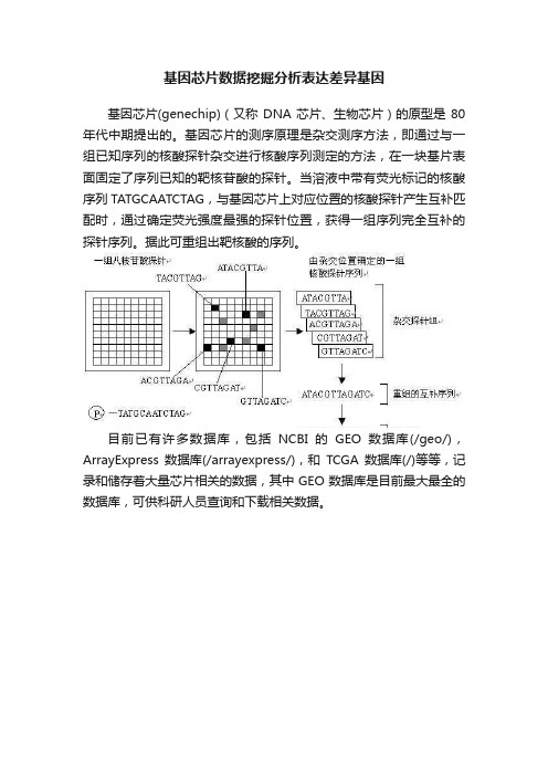 基因芯片数据挖掘分析表达差异基因