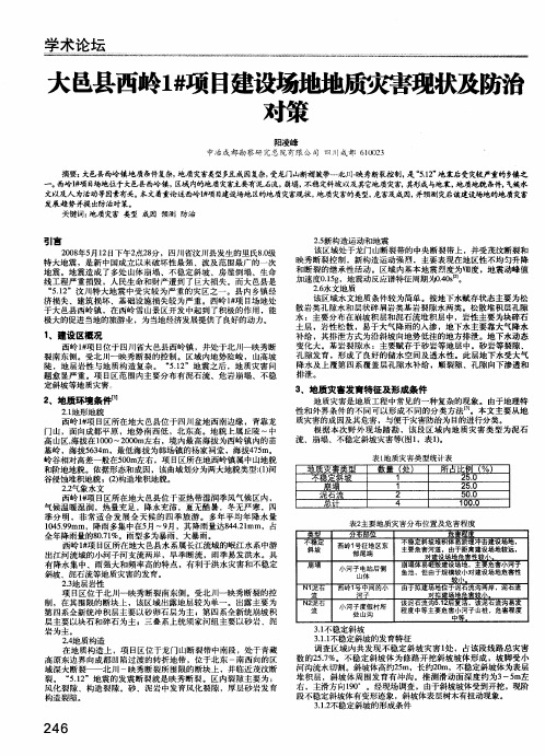 大邑县西岭1#项目建设场地地质灾害现状及防治对策