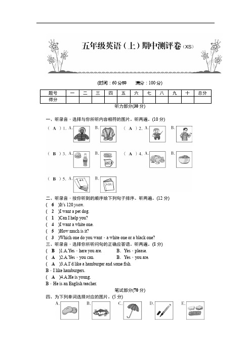 五年级上册英语试题  期中测评卷 湘少版 有答案