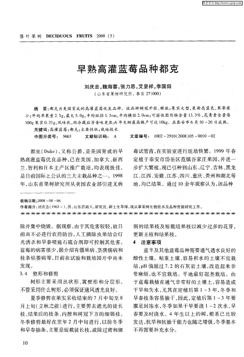 早熟高灌蓝莓品种都克