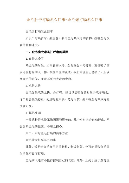 金毛肚子打嗝怎么回事-金毛老打嗝怎么回事