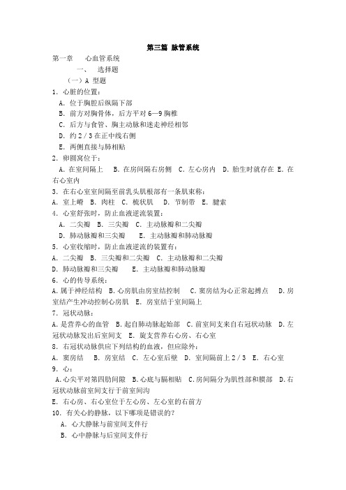 脉管系统