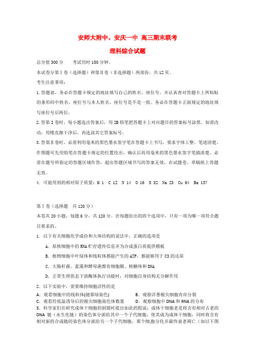 安徽省安庆市一中、安师大附中高三理综第四次模考试题