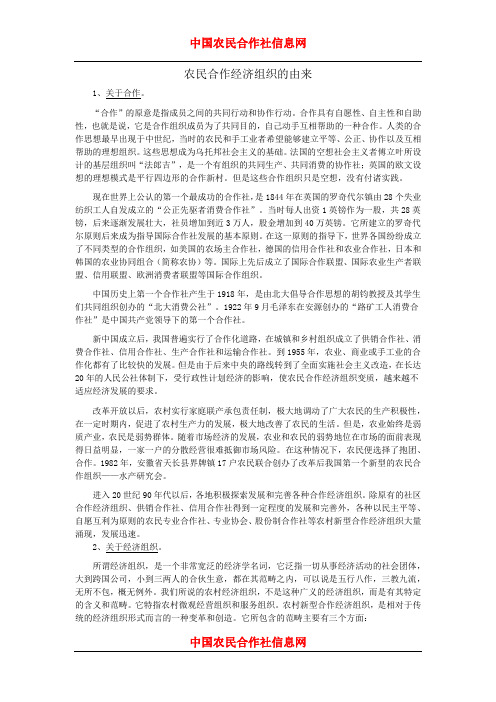 农民合作经济组织的由来