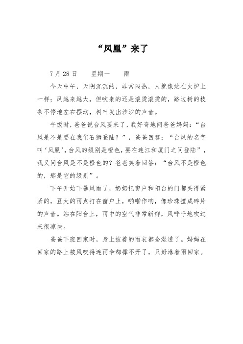 小学记叙文作文:“凤凰”来了15