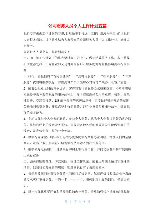 公司财务人员个人工作计划五篇的