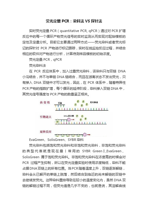 荧光定量PCR：染料法VS探针法