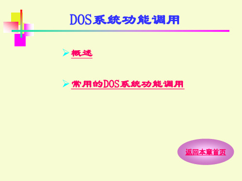 DOS系统功能调用