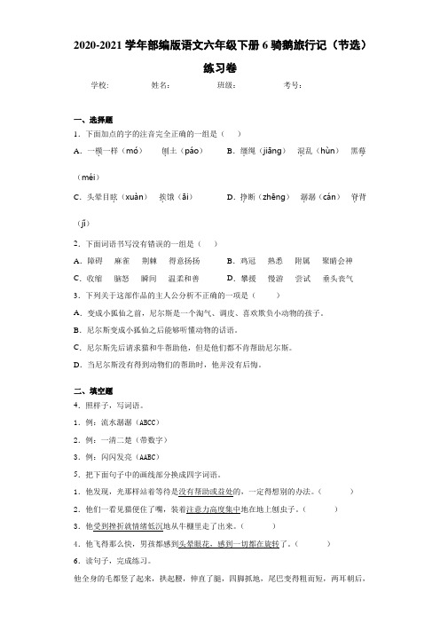 2020-2021学年部编版语文六年级下册6骑鹅旅行记(节选)练习卷 (7)