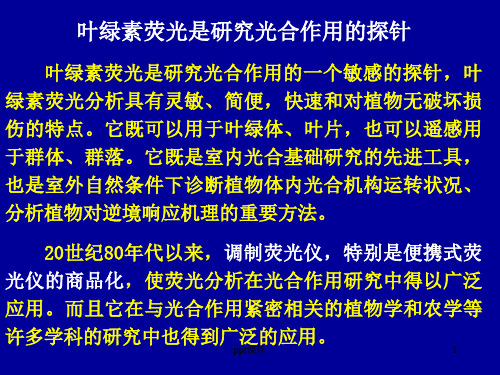 叶绿素荧光是光合作用研究的探针  ppt课件