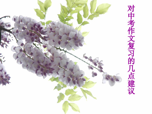 初中作文指导:对中考作文复习的几点建议ppt精选PPT教学课件