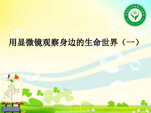 苏教版科学《观察》优质课件1