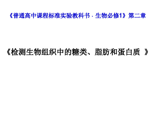 检测生物组织中的糖类、脂肪和蛋白质-实验课说课课件