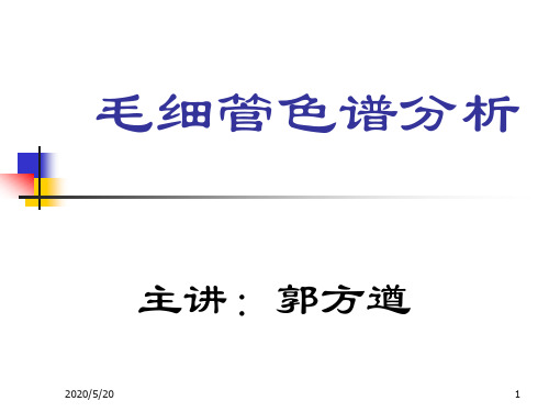 毛细管气相色谱分析法