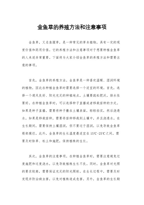 金鱼草的养殖方法和注意事项