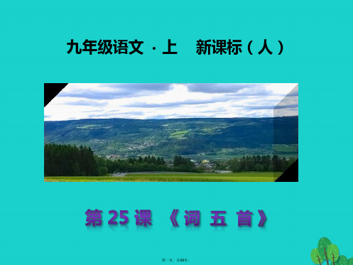 九年级语文上册第六单元第25课《词五首》课件(新版)新人教版