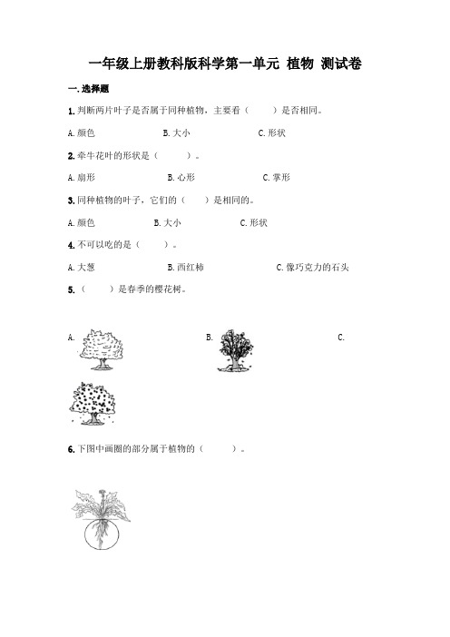 一年级上册教科版科学第一单元 植物 测试卷及答案(历年真题)