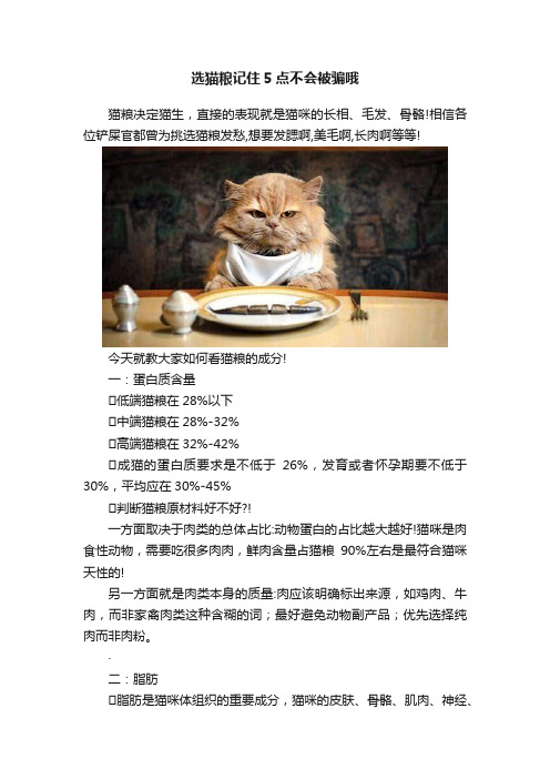 选猫粮记住5点不会被骗哦