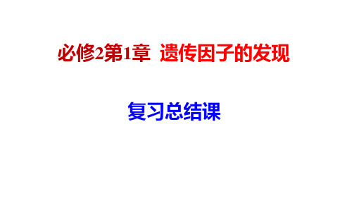 孟德尔遗传定律 复习总结课件-高中生物复习课件