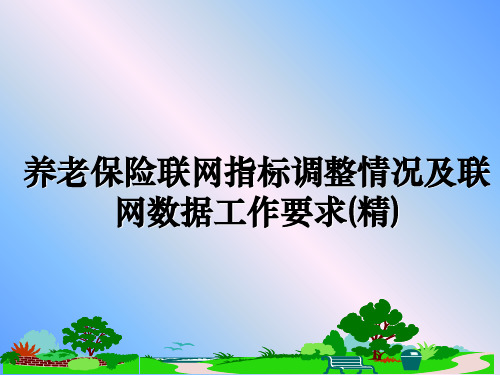 【精选】养老保险联网指标调整情况及联网数据工作要求(精)幻灯片