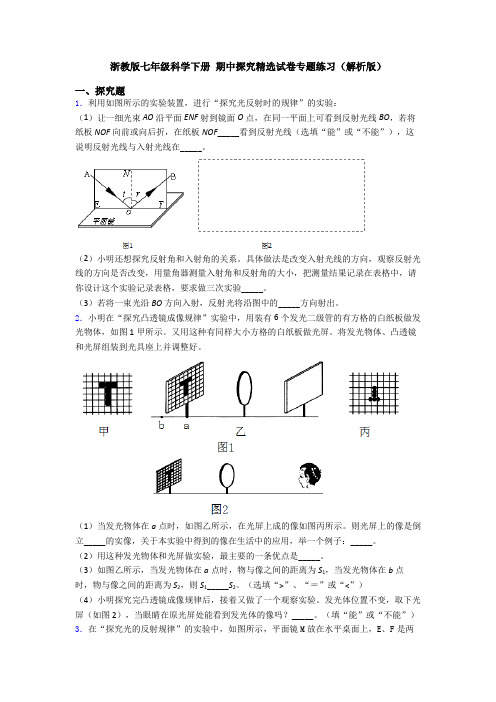 浙教版七年级科学下册 期中探究精选试卷专题练习(解析版)