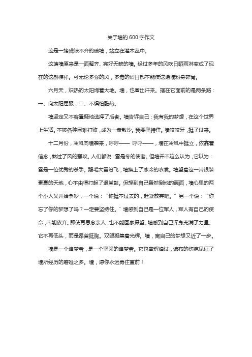 关于墙的600字作文