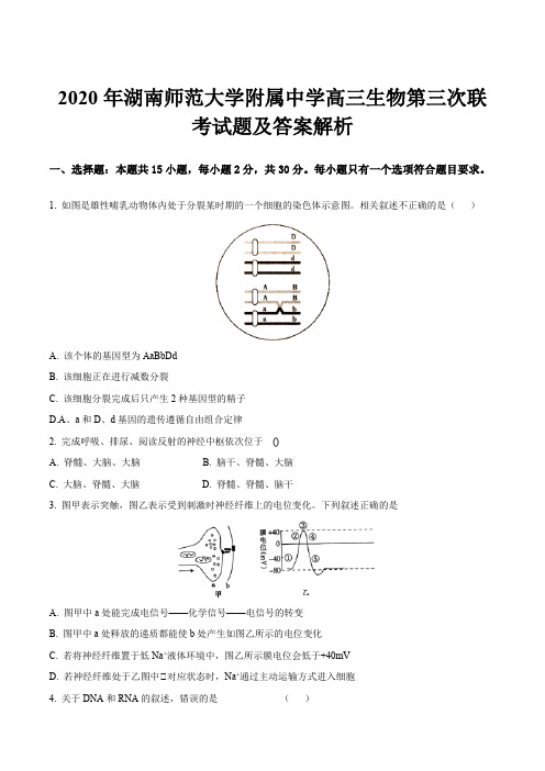 2020年湖南师范大学附属中学高三生物第三次联考试题及答案解析