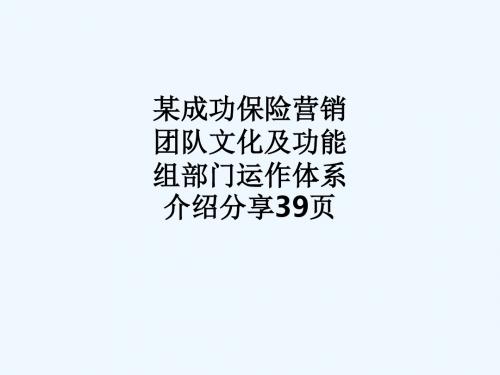 某成功保险营销团队文化及功能组部门运作体系介绍分享页