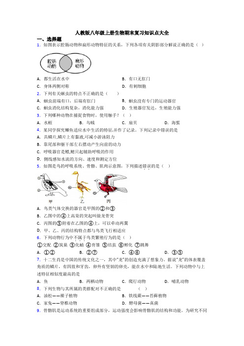 人教版八年级上册生物期末复习知识点大全