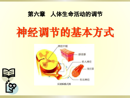 《神经调节的基本方式》人体生命活动的调节5-人教版七年级生物下册PPT课件