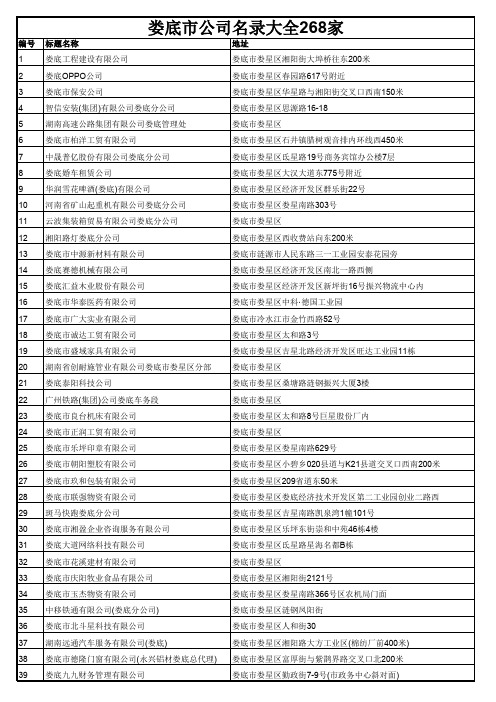 娄底市公司名录大全268家