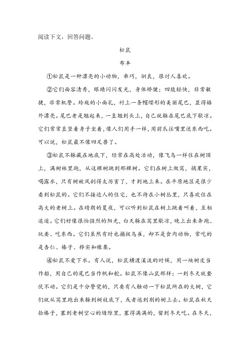 《松鼠》阅读练习及答案