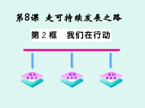 鲁教版九年级思想品德全册课件8.2我们在行动 (共30张PPT)