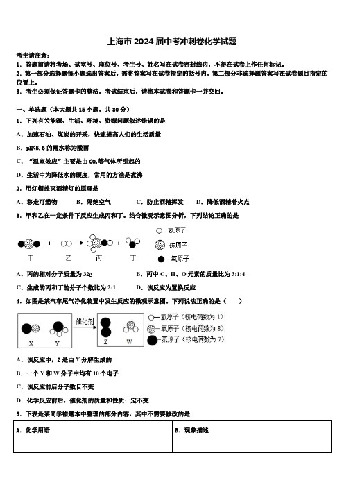 上海市2024届中考冲刺卷化学试题含解析