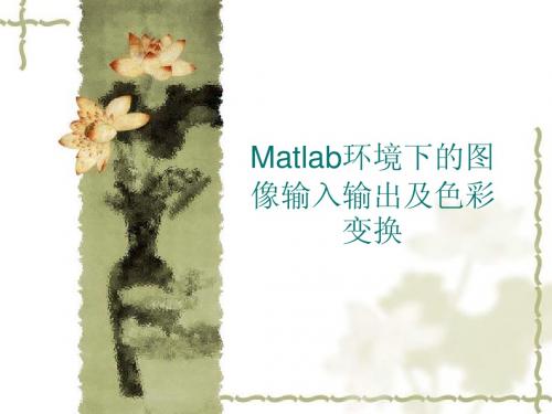 Matlab环境下的图像输入输出