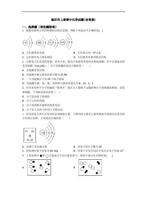 临沂市上册期中初三化学试题(含答案)